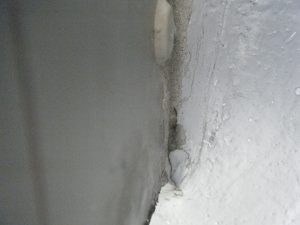 DSCF5554