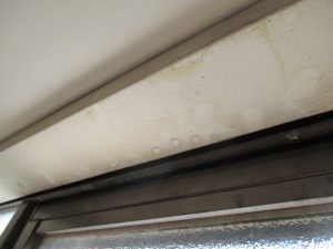 IMG_0120